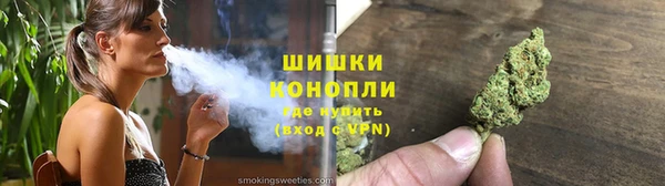 ешки Бронницы