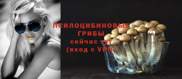 тгк Бугульма