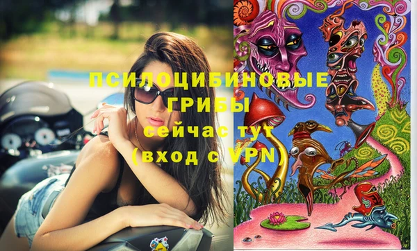 тгк Бугульма