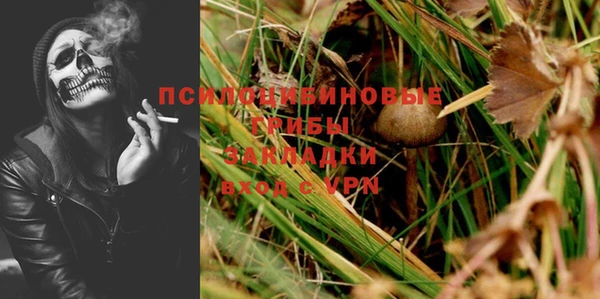 ПСИЛОЦИБИНОВЫЕ ГРИБЫ Снежинск