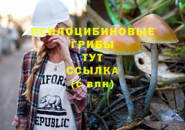 меф Бородино