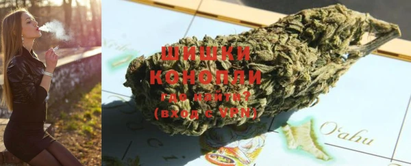ешки Бронницы